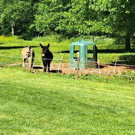 Le Bancarel, 6 Personnes Entre Lot Et Dordogne Ferienhaus