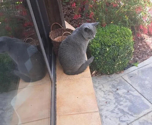 Ferienhaus Le Bancarel, 6 Personnes Entre Lot Et Dordogne Frayssinet-le-Gélat