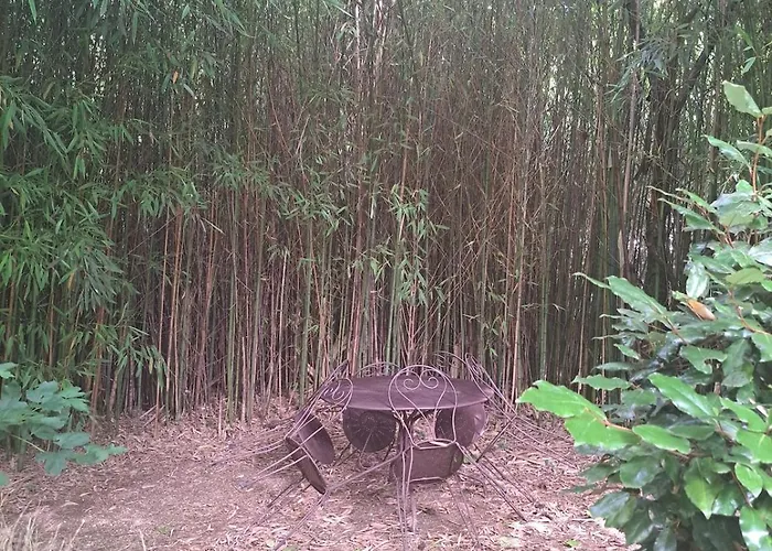 Le Bancarel, 6 Personnes Entre Lot Et Dordogne Vakantiehuis Frayssinet-le-Gélat