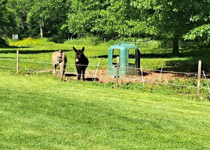 Le Bancarel, 6 Personnes Entre Lot Et Dordogne Vakantiehuis